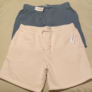 2 Pair of Men’s Pacsun shorts